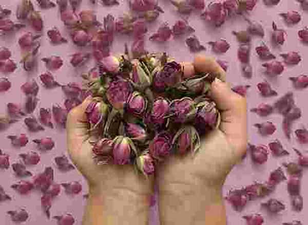 تصویر 1 از قیمت غنچه گل محمدی خشک شده + خرید باور نکردنی